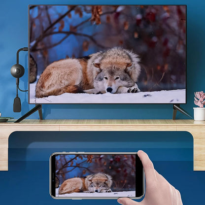 QuickCast™ | The best streamer without wifi!