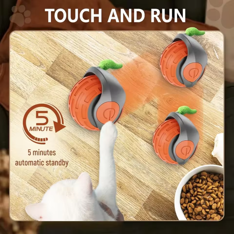 FurPlay™ |  Bring Endless Joy to Your Cat — Even When You’re Not Home!